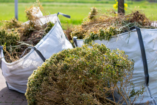 Basement Cleanout Services in East Point, GA